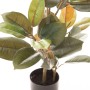 Planta Decorativa PVC Ferro Figueira 36 x 37 x 90 cm | Tienda24 - Global Online Shop Tienda24.eu