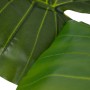 Dekorationspflanze 80 x 90 x 140 cm grün Philodendron | Tienda24 - Global Online Shop Tienda24.eu