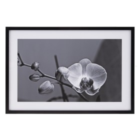 Tela Orquídea 65 x 2 x 95 cm Flor de BigBuy Home, Impressões sobre tela - Ref: S8800750, Preço: 28,36 €, Desconto: %