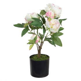 Plante décorative 36 x 30 x 44 cm Crème Pivoine de BigBuy Home, Plantes artificielles - Réf : S8801148, Prix : 11,98 €, Remis...