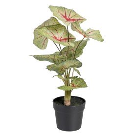 Plante décorative Gris 16 x 21 x 16 cm Vert Plastique | Tienda24 - Global Online Shop Tienda24.eu