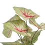 Planta Decorativa Vermelho Verde PVC 40 x 35 x 55 cm | Tienda24 - Global Online Shop Tienda24.eu