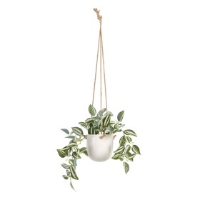 Plante décorative 24 x 35 x 25 cm Blanc Vert PVC de BigBuy Home, Plantes artificielles - Réf : S8801666, Prix : 23,50 €, Remi...