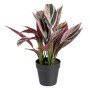 Decorative Plant 44 x 39 x 48 cm Pink Green PVC | Tienda24 - Global Online Shop Tienda24.eu