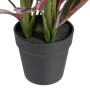 Decorative Plant 44 x 39 x 48 cm Pink Green PVC | Tienda24 - Global Online Shop Tienda24.eu