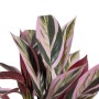 Decorative Plant 44 x 39 x 48 cm Pink Green PVC | Tienda24 - Global Online Shop Tienda24.eu