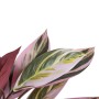 Decorative Plant 44 x 39 x 48 cm Pink Green PVC | Tienda24 - Global Online Shop Tienda24.eu