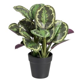 Plante décorative Polyester Polyéthylène Fer Fleur 12,5 x 12,5 x 37 cm | Tienda24 - Global Online Shop Tienda24.eu