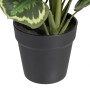 Decorative Plant 37 x 37 x 41 cm Green PVC | Tienda24 - Global Online Shop Tienda24.eu