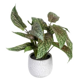 Plante décorative Vert PVC 52 x 44 x 44 cm de BigBuy Home, Plantes artificielles - Réf : S8801683, Prix : 18,54 €, Remise : %