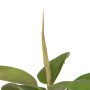 Plante décorative 116 cm Vert PVC Chêne | Tienda24 - Global Online Shop Tienda24.eu