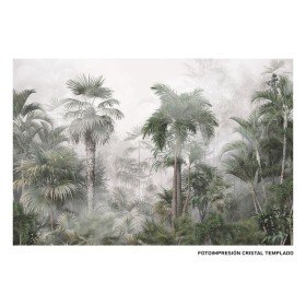 Pintura DKD Home Decor Tropical Selva (2 Unidades) | Tienda24 - Global Online Shop Tienda24.eu