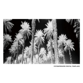 Canvas Palms 120 x 4 x 70 cm Palm tree by BigBuy Home, Prints on Canvas - Ref: S8803209, Price: 120,01 €, Discount: %