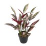 Decorative Plant 43 x 40 x 55 cm Green Bird of paradise | Tienda24 - Global Online Shop Tienda24.eu