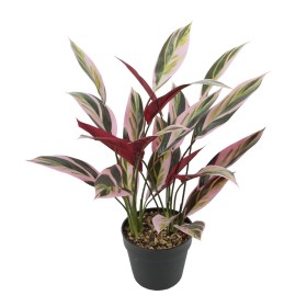 Plante décorative Liège Céramique Plastique 24 x 43 x 24 cm (8 Unités) | Tienda24 - Global Online Shop Tienda24.eu