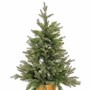 Sapin de Noël Vert Doré Polyéthylène 58 x 58 x 90 cm | Tienda24 - Global Online Shop Tienda24.eu