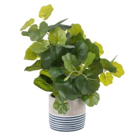 Planta Decorativa Cemento PEVA Hojas 11,5 x 11,5 x 39 cm de BigBuy Home, Plantas - Ref: S8804246, Precio: 14,83 €, Descuento: %