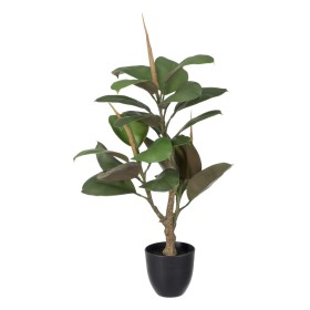 Decorative Plant Polyethylene Iron PEVA Oak 76 cm by BigBuy Home, Artificial Plants - Ref: S8804285, Price: 36,89 €, Discount: %