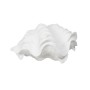 Figurine Décorative Blanc Conque 14 x 7 x 10 cm | Tienda24 - Global Online Shop Tienda24.eu