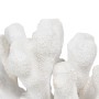 Decorative Figure White Coral 19 x 14 x 11 cm | Tienda24 - Global Online Shop Tienda24.eu