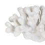 Decorative Figure White Coral 19 x 14 x 11 cm | Tienda24 - Global Online Shop Tienda24.eu