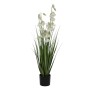 Pianta Decorativa PVC Cemento Tessuto 91 cm | Tienda24 - Global Online Shop Tienda24.eu