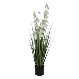 Decorative Plant Smile Silver Can Metal Plastic (26 x 26 x 26 cm) | Tienda24 - Global Online Shop Tienda24.eu