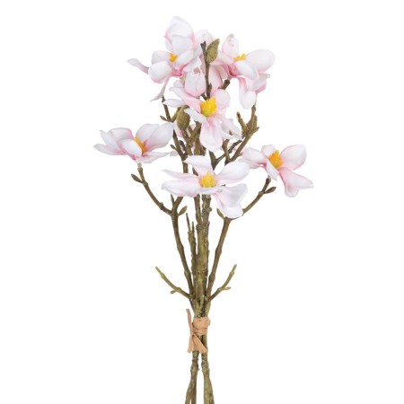 Ramo Verde Cor de Rosa 37 x 20 x 41 cm Magnolia | Tienda24 - Global Online Shop Tienda24.eu