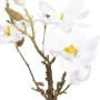 Plante décorative Polyester Polyéthylène Fer 22 x 22 x 38 cm Magnolia | Tienda24 - Global Online Shop Tienda24.eu