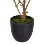 Planta Decorativa Poliéster Polietileno Ferro 25 x 25 x 49 cm Magnolia | Tienda24 - Global Online Shop Tienda24.eu