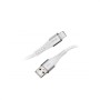 Cable USB-C a Lightning INTENSO 7902102 1,5 m Blanco