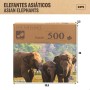 Puzzle Colorbaby Elephant 500 Piezas 6 Unidades 61 x 46 x 0,1 cm | Tienda24 - Global Online Shop Tienda24.eu