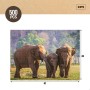 Puzzle Colorbaby Elephant 500 Piezas 6 Unidades 61 x 46 x 0,1 cm | Tienda24 - Global Online Shop Tienda24.eu