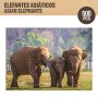 Puzzle Colorbaby Elephant 500 Piezas 6 Unidades 61 x 46 x 0,1 cm | Tienda24 - Global Online Shop Tienda24.eu