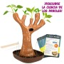 Juego de Ciencia Lisciani Botánica ES (6 Unidades) | Tienda24 - Global Online Shop Tienda24.eu