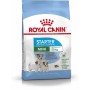 Fodder Royal Canin Starter Mother And Babydog Adult Chicken Birds 1 kg | Tienda24 - Global Online Shop Tienda24.eu