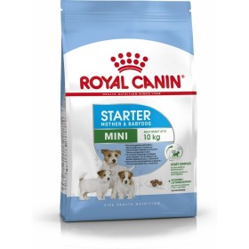 mangime Royal Canin Starter Mother And Babydog Adulto Pollo Uccelli 1 kg di Royal Canin, Secco - Rif: S9105284, Prezzo: 13,85...