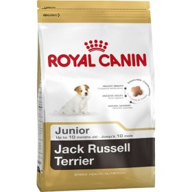 mangime Royal Canin Jack Russell Junior Cucciolo/Junior Pollo Riso Uccelli 3 Kg di Royal Canin, Secco - Rif: S9105304, Prezzo...