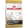 Fodder Royal Canin Jack Russell Junior Kid/Junior Chicken Rice Birds 3 Kg | Tienda24 - Global Online Shop Tienda24.eu