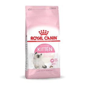 Aliments pour chat Royal Canin Kitten Poulet 10 kg de Royal Canin, Sèche - Réf : S9105321, Prix : 123,15 €, Remise : %