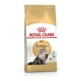 Cat food Royal Canin Persian Adult Corn Birds 4 Kg | Tienda24 - Global Online Shop Tienda24.eu