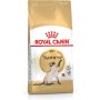 Comida para gato Royal Canin Siamese Adulto Pollo Aves 2 Kg | Tienda24 - Global Online Shop Tienda24.eu