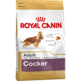 Fodder Royal Canin Cocker Adult Adult Chicken Rice Corn Birds 12 kg by Royal Canin, Dry - Ref: S9105365, Price: 85,08 €, Disc...