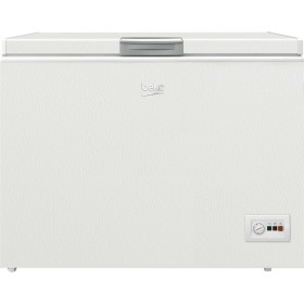 Congélateur BEKO HSM30031