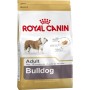 Nourriture Royal Canin Bulldog Adult Adulte Poulet Viande Riz Oiseaux 12 kg | Tienda24 - Global Online Shop Tienda24.eu