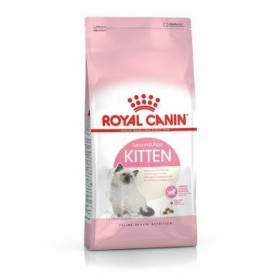 Aliments pour chat Royal Canin Kitten Oiseaux 4 Kg de Royal Canin, Sèche - Réf : S9105373, Prix : 51,72 €, Remise : %