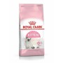 Cat food Royal Canin Kitten Birds 4 Kg | Tienda24 - Global Online Shop Tienda24.eu