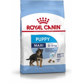 Fodder Royal Canin Maxi Puppy Kid/Junior Chicken Rice Birds 4 Kg by Royal Canin, Dry - Ref: S9105380, Price: 30,23 €, Discoun...