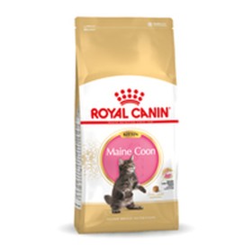 Cat food Royal Canin Maine Coon Kitten 10 kg by Royal Canin, Dry - Ref: S9105382, Price: 132,27 €, Discount: %