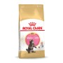 Katzenfutter Royal Canin Maine Coon Kitten 10 kg | Tienda24 - Global Online Shop Tienda24.eu